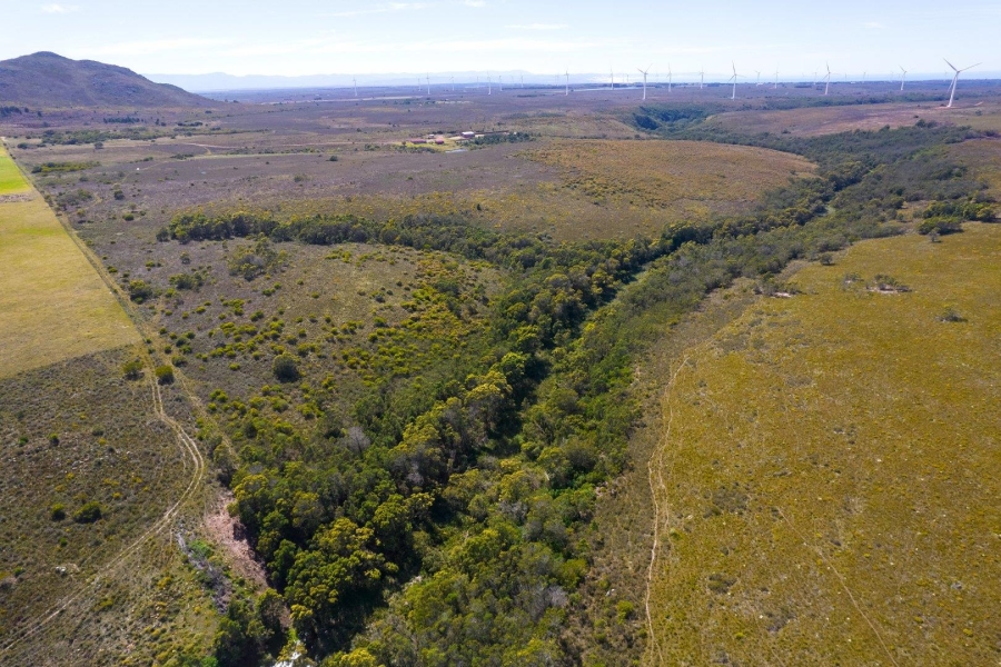 0 Bedroom Property for Sale in Humansdorp Rural Eastern Cape